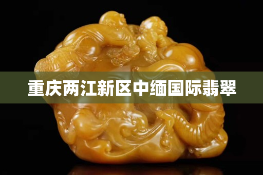 重慶兩江新區中緬國際翡翠