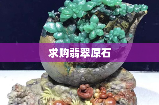 求購翡翠原石