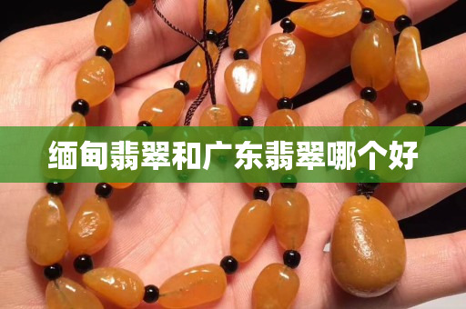 緬甸翡翠和廣東翡翠哪個好