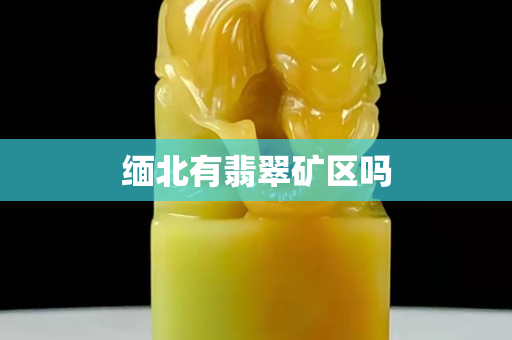 緬北有翡翠礦區嗎