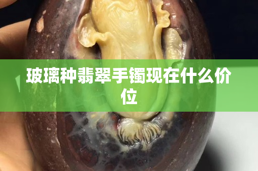 玻璃種翡翠手鐲現在什么價位