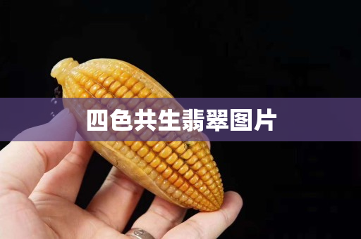 四色共生翡翠圖片