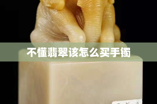 不懂翡翠該怎么買(mǎi)手鐲