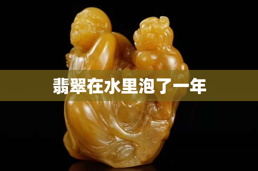 翡翠在水里泡了一年