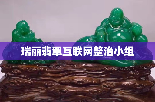 瑞麗翡翠互聯網整治小組