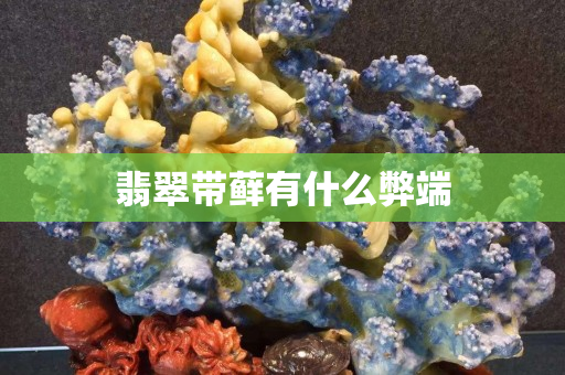 翡翠帶蘚有什么弊端