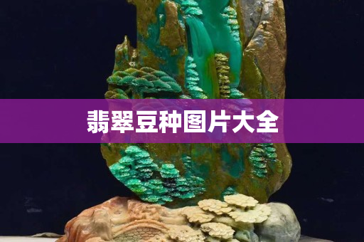 翡翠豆種圖片大全