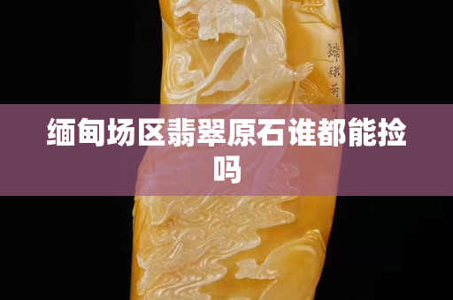 緬甸場(chǎng)區(qū)翡翠原石誰(shuí)都能撿嗎