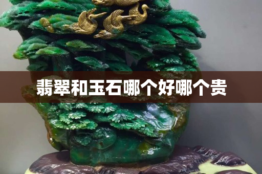 翡翠和玉石哪個好哪個貴