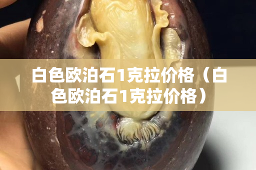 白色歐泊石1克拉價格（白色歐泊石1克拉價格）
