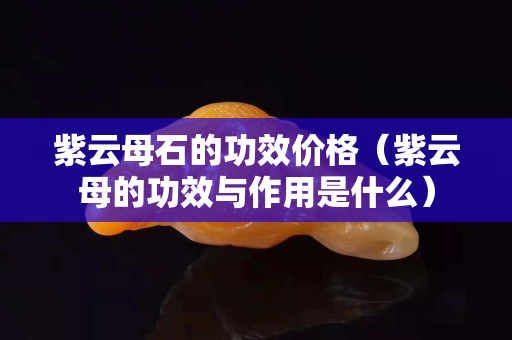 紫云母石的功效價格（紫云母的功效與作用是什么）