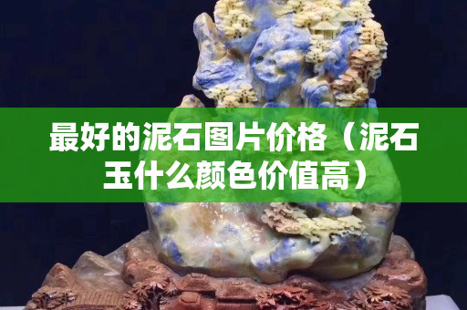 最好的泥石圖片價(jià)格（泥石玉什么顏色價(jià)值高）