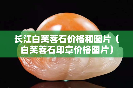 長江白芙蓉石價格和圖片（白芙蓉石印章價格圖片）
