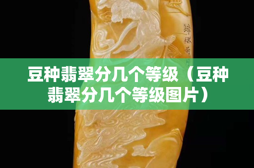 豆種翡翠分幾個等級（豆種翡翠分幾個等級圖片）