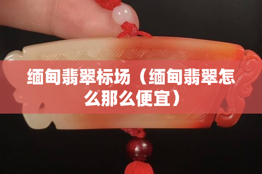 緬甸翡翠標(biāo)場(chǎng)（緬甸翡翠怎么那么便宜）