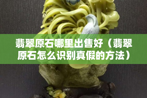 翡翠原石哪里出售好（翡翠原石怎么識別真假的方法）