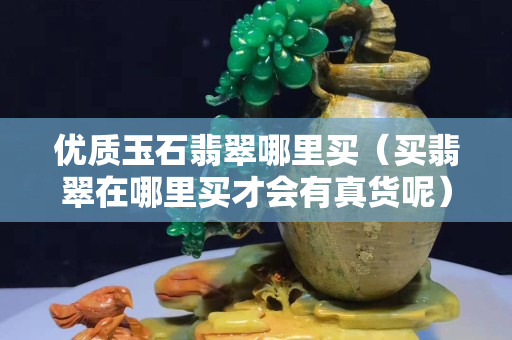 優(yōu)質(zhì)玉石翡翠哪里買（買翡翠在哪里買才會(huì)有真貨呢）