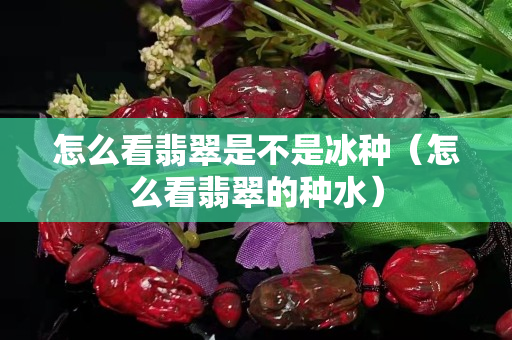 怎么看翡翠是不是冰種（怎么看翡翠的種水）