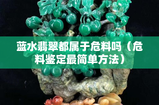 藍水翡翠都屬于危料嗎（危料鑒定最簡單方法）
