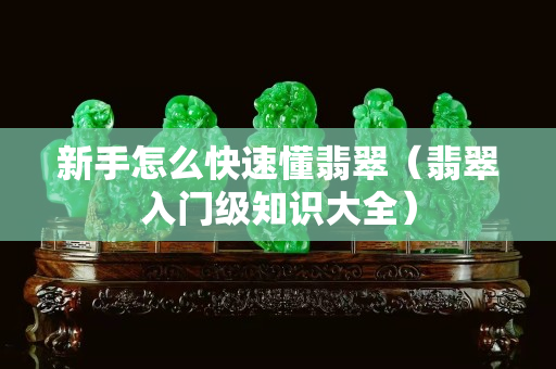 新手怎么快速懂翡翠（翡翠入門級(jí)知識(shí)大全）
