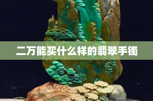 二萬能買什么樣的翡翠手鐲