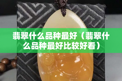 翡翠什么品種最好（翡翠什么品種最好比較好看）