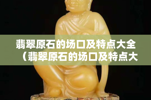 翡翠原石的場口及特點大全（翡翠原石的場口及特點大全照片）