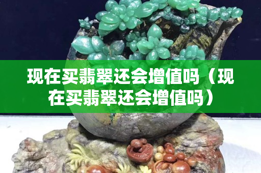 現在買翡翠還會增值嗎（現在買翡翠還會增值嗎）