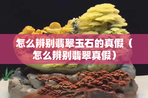 怎么辨別翡翠玉石的真假（怎么辨別翡翠真假）
