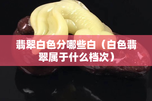 翡翠白色分哪些白（白色翡翠屬于什么檔次）