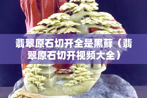 翡翠原石切開全是黑蘚（翡翠原石切開視頻大全）