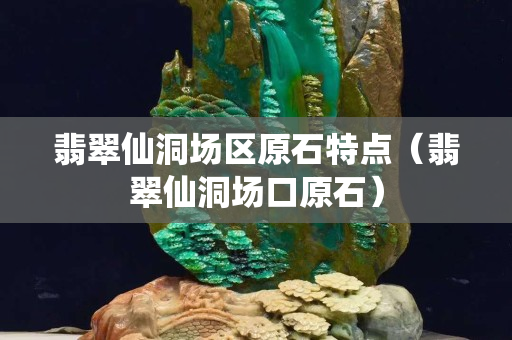 翡翠仙洞場區原石特點（翡翠仙洞場口原石）