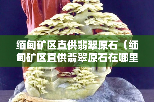 緬甸礦區直供翡翠原石（緬甸礦區直供翡翠原石在哪里）