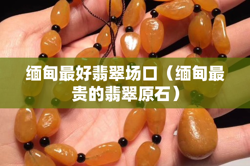 緬甸最好翡翠場口（緬甸最貴的翡翠原石）