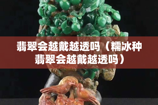翡翠會越戴越透嗎（糯冰種翡翠會越戴越透嗎）