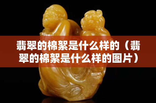 翡翠的棉絮是什么樣的（翡翠的棉絮是什么樣的圖片）