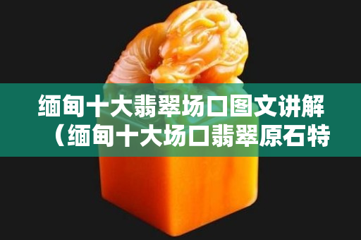 緬甸十大翡翠場口圖文講解（緬甸十大場口翡翠原石特點）