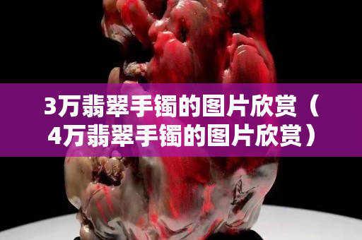 3萬翡翠手鐲的圖片欣賞（4萬翡翠手鐲的圖片欣賞）