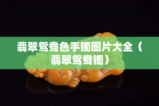 翡翠鴛鴦色手鐲圖片大全（翡翠鴛鴦鐲）