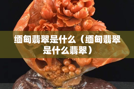 緬甸翡翠是什么（緬甸翡翠是什么翡翠）