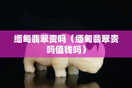 緬甸翡翠貴嗎（緬甸翡翠貴嗎值錢嗎）