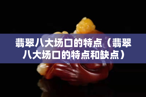 翡翠八大場口的特點（翡翠八大場口的特點和缺點）