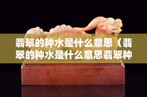 翡翠的種水是什么意思（翡翠的種水是什么意思翡翠種水具體分類的介紹）
