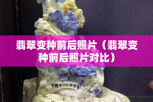 翡翠變種前后照片（翡翠變種前后照片對比）