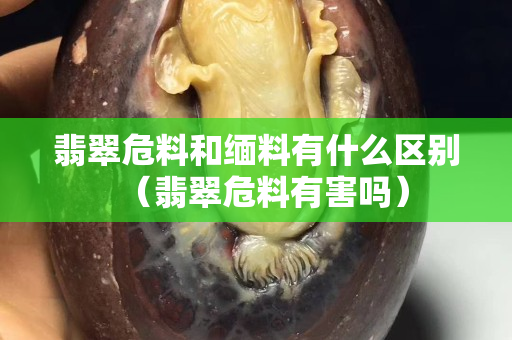 翡翠危料和緬料有什么區別（翡翠危料有害嗎）