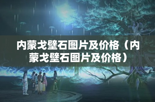內蒙戈壁石圖片及價格（內蒙戈壁石圖片及價格）