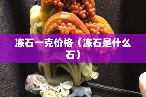凍石一克價(jià)格（凍石是什么石）