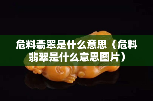 危料翡翠是什么意思（危料翡翠是什么意思圖片）