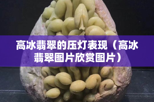 高冰翡翠的壓燈表現(xiàn)（高冰翡翠圖片欣賞圖片）