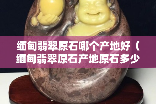 緬甸翡翠原石哪個產地好（緬甸翡翠原石產地原石多少錢一噸）